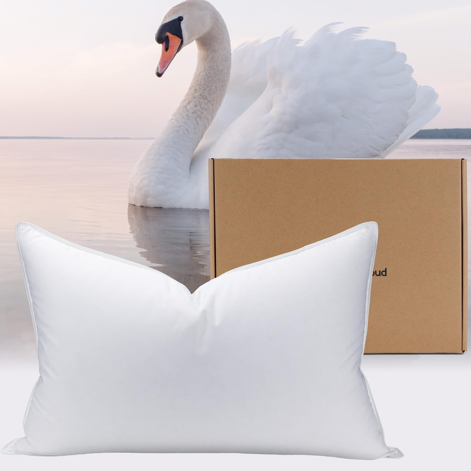 Amazon.com: PlushHavenCloud White Goose Down Pillow - Luxury Hotel